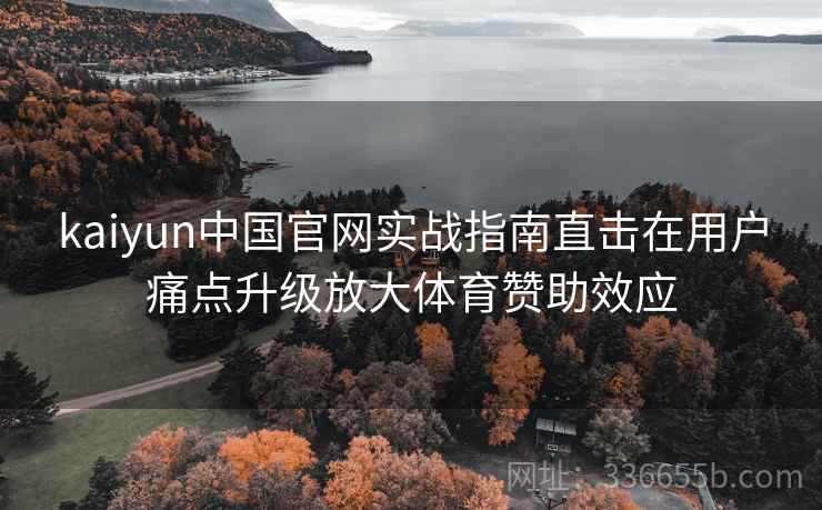 kaiyun中国官网实战指南直击在用户痛点升级放大体育赞助效应