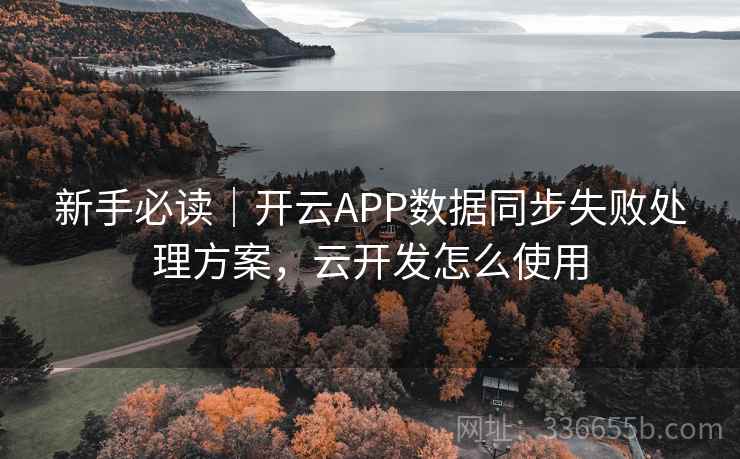 新手必读｜开云APP数据同步失败处理方案，云开发怎么使用