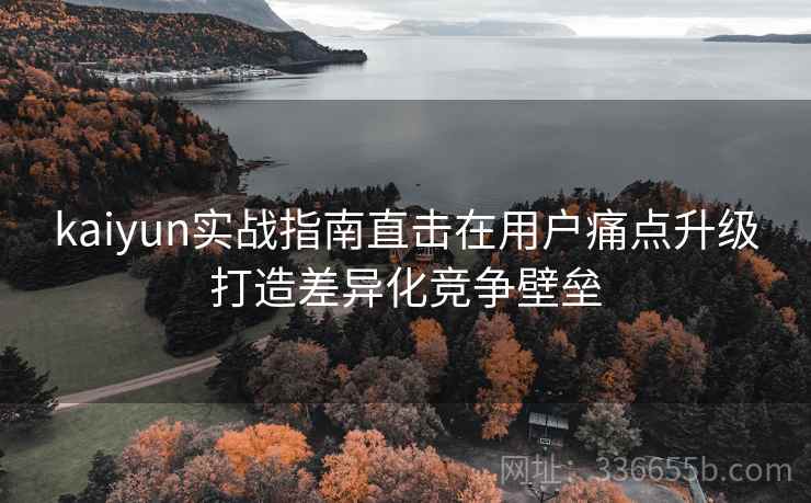 kaiyun实战指南直击在用户痛点升级打造差异化竞争壁垒