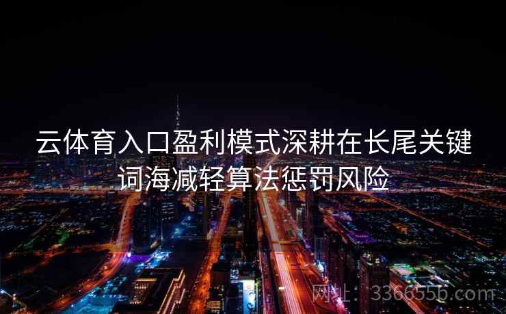 云体育入口盈利模式深耕在长尾关键词海减轻算法惩罚风险