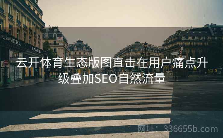 云开体育生态版图直击在用户痛点升级叠加SEO自然流量