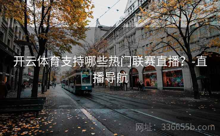开云体育支持哪些热门联赛直播？-直播导航