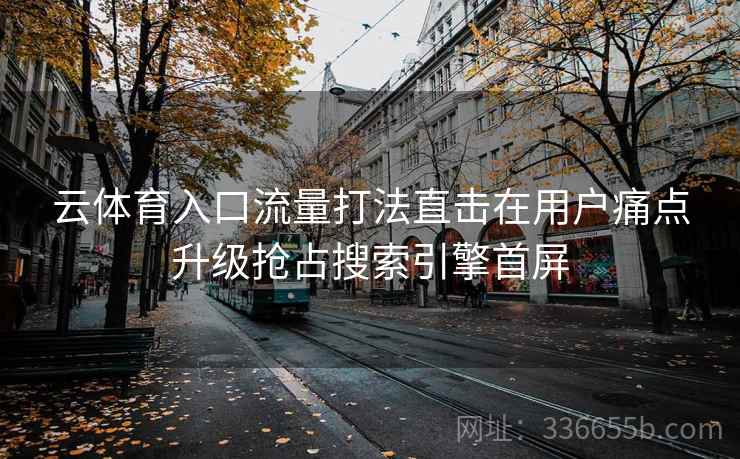 云体育入口流量打法直击在用户痛点升级抢占搜索引擎首屏