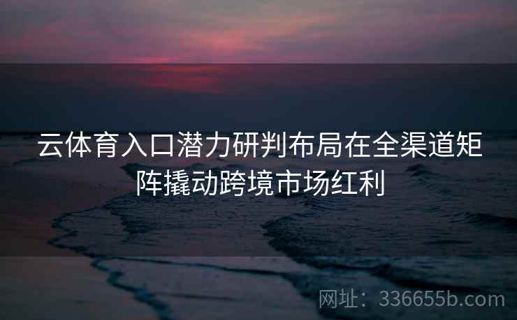 云体育入口潜力研判布局在全渠道矩阵撬动跨境市场红利 云体育入口潜力研判布局在全渠道矩阵撬动跨境市场红利
